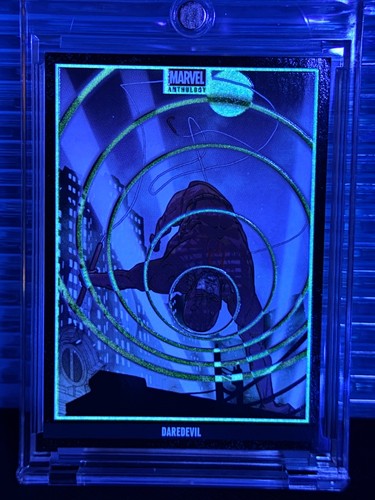 Daredevil 2025 panini - daredevil,