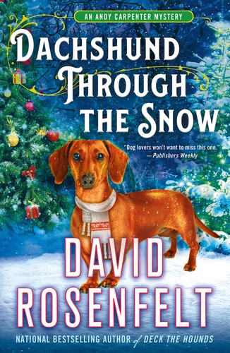 Dachshund through the snow - dachshund,